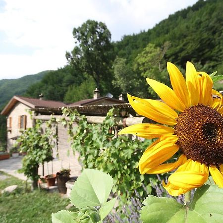 Agriturismo Ca Sonino Bettola  Экстерьер фото