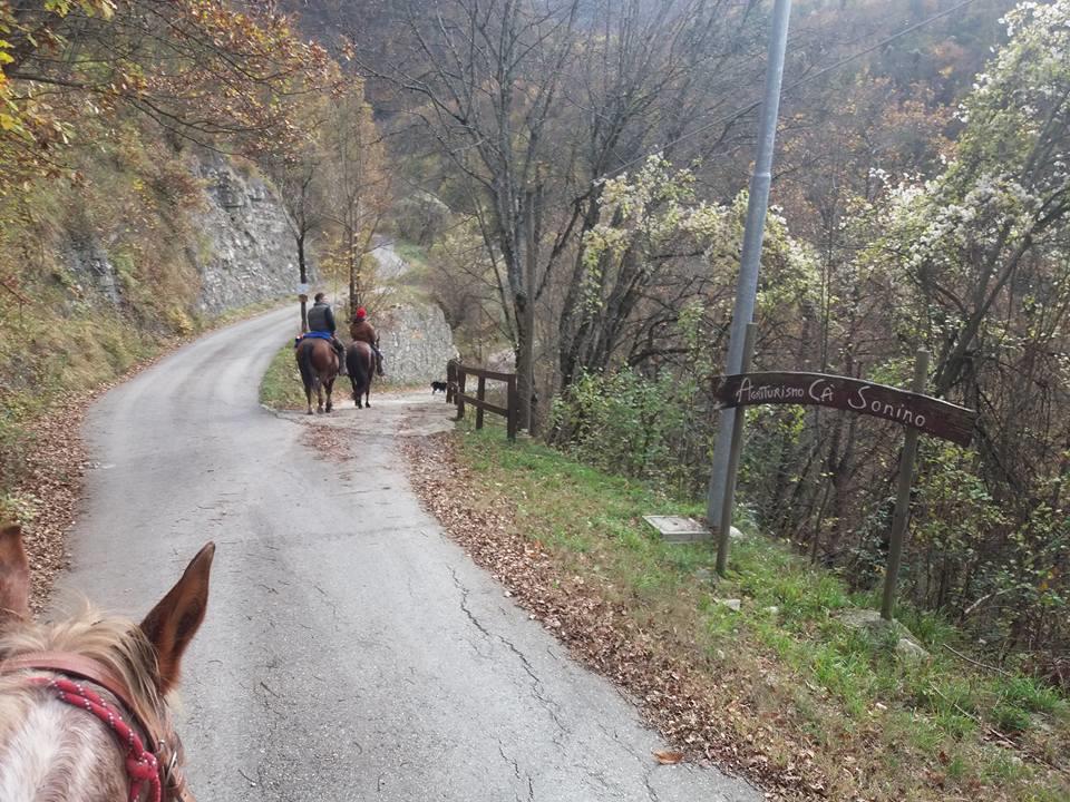 Agriturismo Ca Sonino Bettola  Экстерьер фото